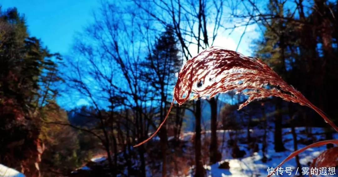 今日冬至:好吃不过饺子,好玩不过白云山