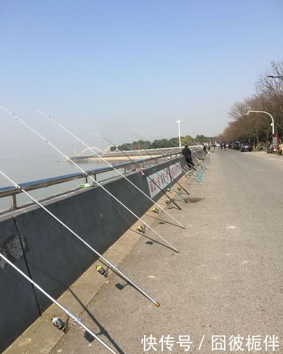 钱塘江已无鱼可钓?江边现“千竿阵”,场面壮观却鱼获惨淡