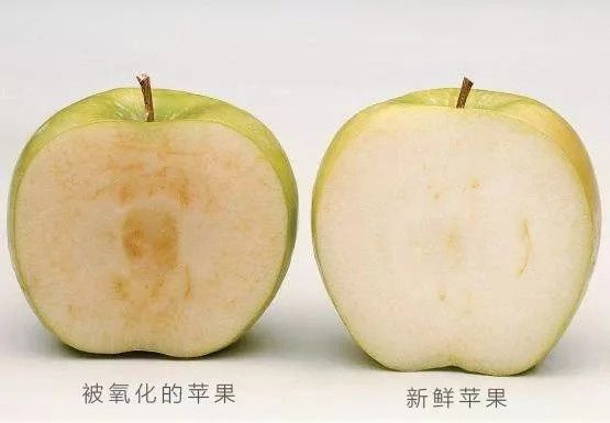 热剧《天盛长歌》里女扮男装的倪妮，颜值竟碾压厂花陈坤?