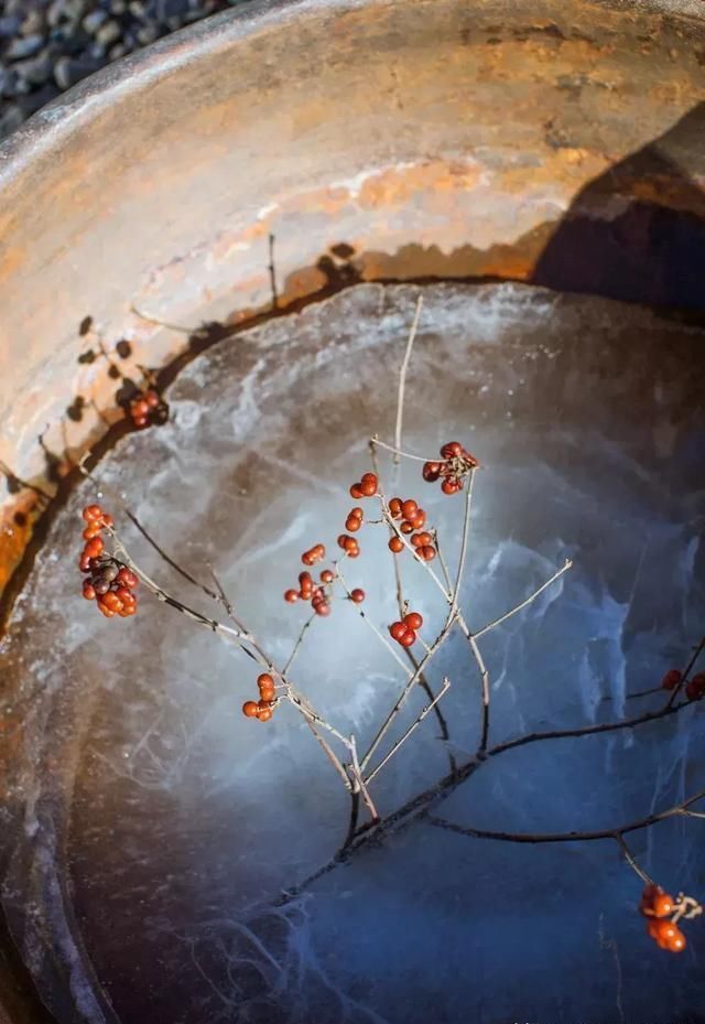 惊艳设计圈的10套老宅改造，真美！