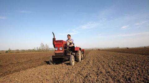  「抓紧」土地确权进入最后一年，农民朋友这三个证要抓紧办好，