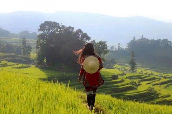 大促299元超值抢购元阳599自由行套餐