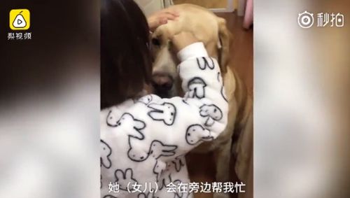 2岁女娃抱狗猛亲!网友:这是最美好的回忆!