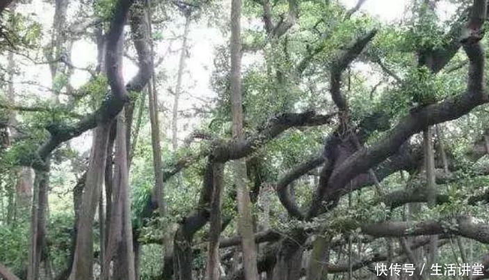 中国最奇特的5个自然景观,一处比一处神奇,引无数游客慕名前来