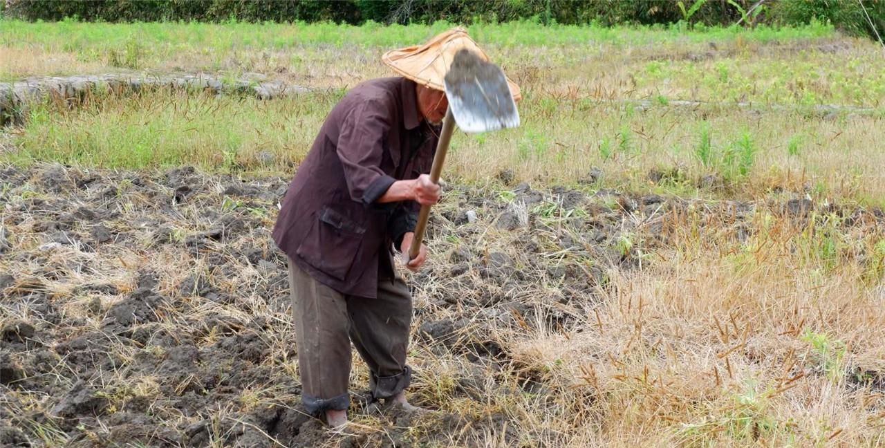  #道理#俗语“男怕八月，女怕腊月”，为何这样说？老祖宗的话有