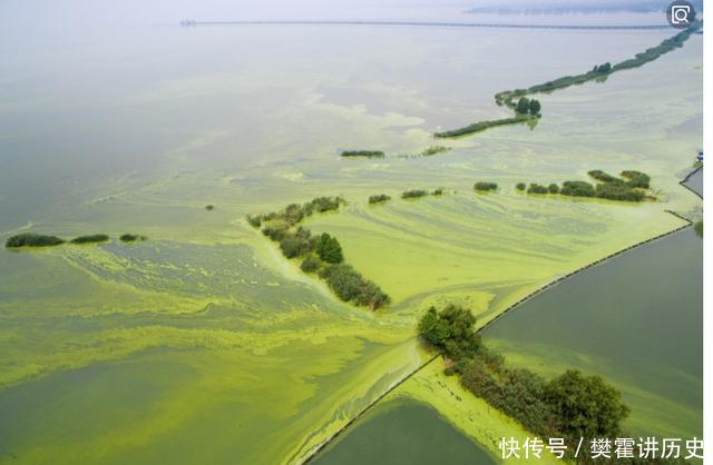 鄱阳湖、洞庭湖、太湖：中国最大的三个淡水湖“生病”了