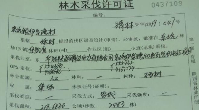  靖边电力：央视真相调查：建光伏电站真的砍了沙漠10万棵树？