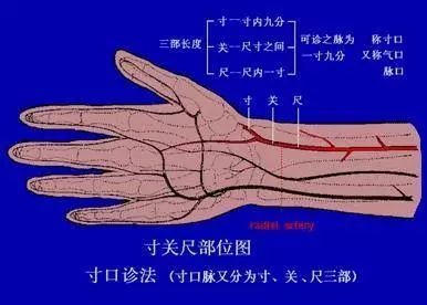 把脉手把手教,最全动图展示并心法口诀!