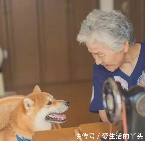 当中国大妈遇到日本大妈，一个惹人烦，一个人人夸