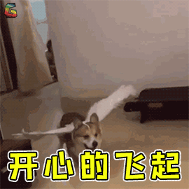 新鲜出炉!2019免签落地签大汇总,白本出行说走就走!果断收藏