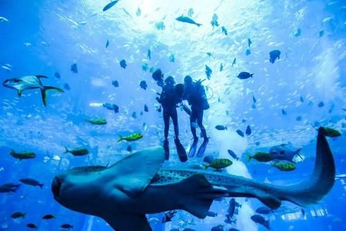  『三亚旅游市』“五一”小长假，三亚旅游多领域人气“霸榜”，背后有啥秘密