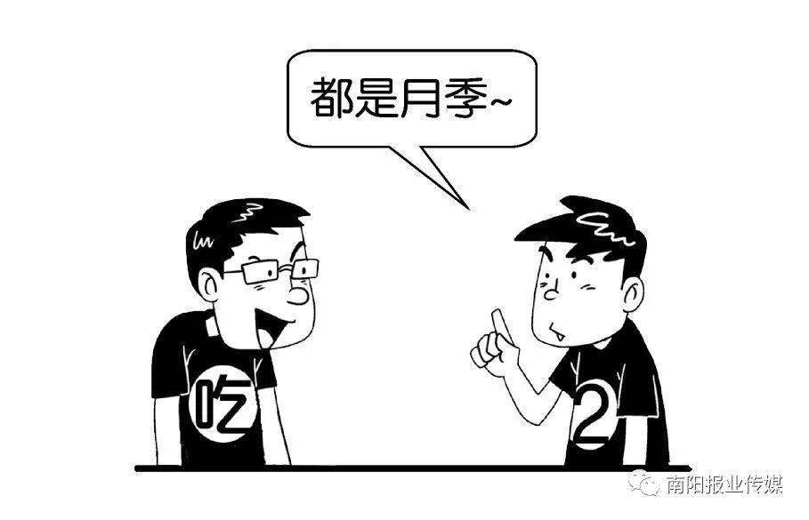  【玫瑰】哪有什么玫瑰？长哩美的都是月季！