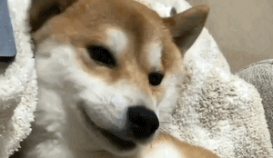 重要提醒！超强暴雨今晚降“淋”，这些细节不容忽视！