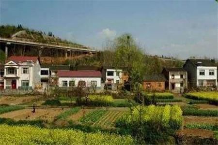 农村宅基地使用权转让，这六种情况无效