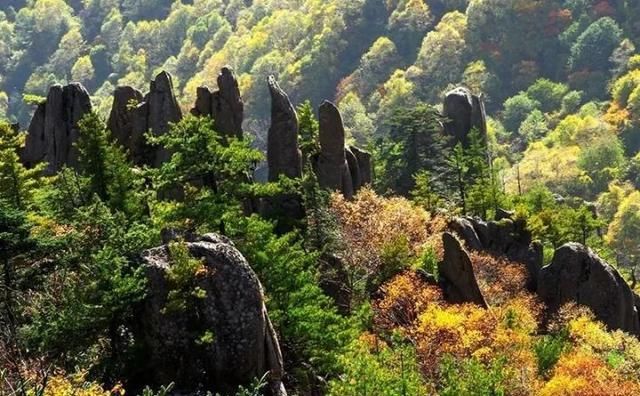 秦岭这条公路，秋天必驾，5处醉美之地值得看看