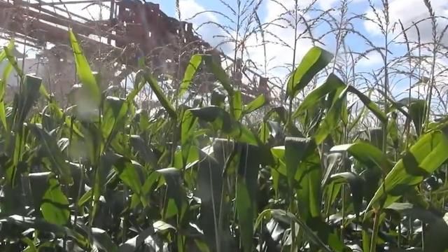 英国四十岁大叔发明自行车喷雾机，不用油和电，成本100块钱