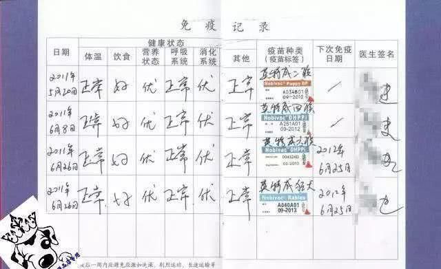 有没有宠物托运