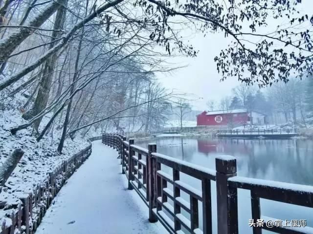 昨天洛阳雪后，一大波美景曝光