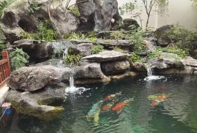 为什么中国人的院子都喜欢做一个鱼池? 原来有这些优点
