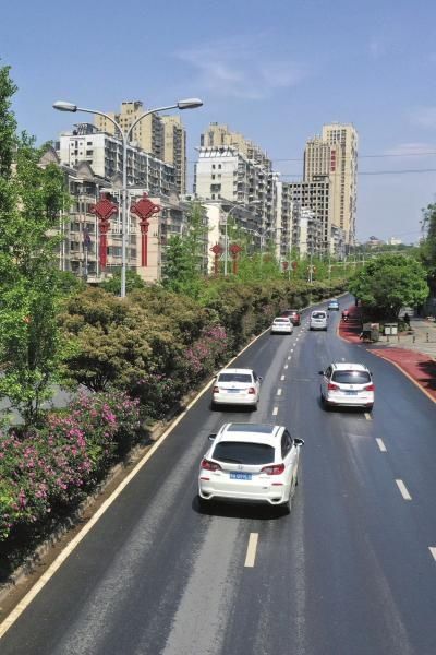  『南湖路上』长沙最美花路|长沙多条街道飘散着花香，哪一条是你心中最爱