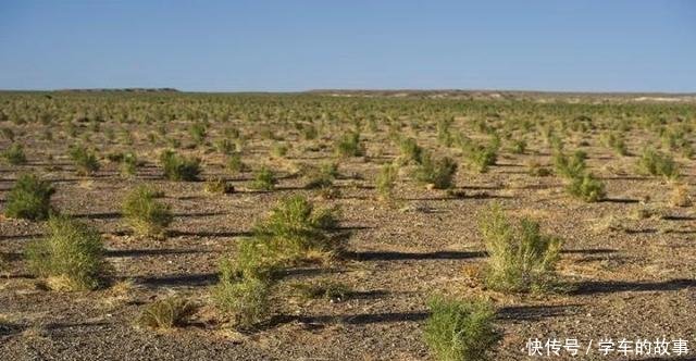  #一起走#全球沙漠最多的国家，正在悄悄的消灭沙漠