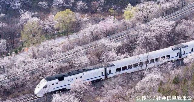  高速铁路|高铁与动车有什么区别