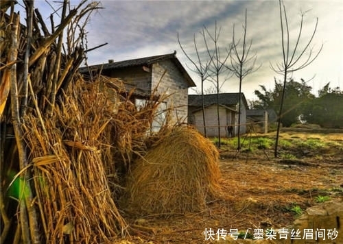  #养老保险#农村养老保险每年缴纳100元，缴纳15年退休后，每月能