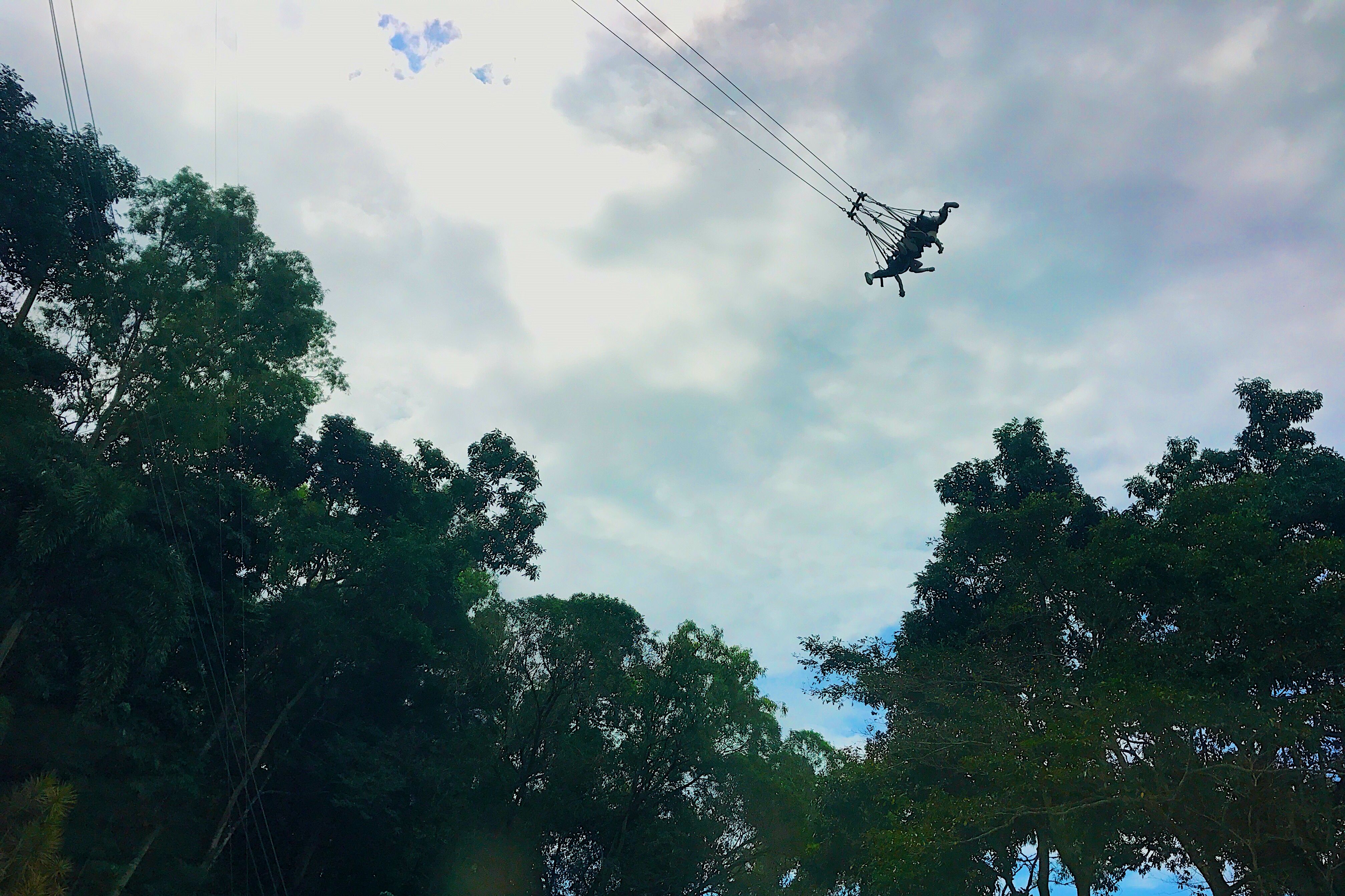 闪光少女在澳洲，上天入地玩转海陆空