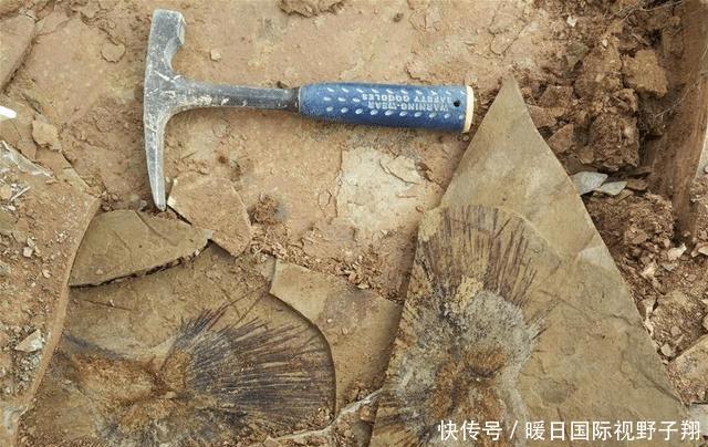  「环境」假如青藏高原不隆起，我国南方是什么环境？