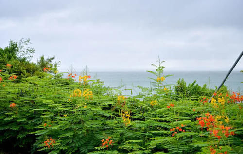  「科技创新中心」湖北“前途无量”的城市，有望成为第五大直辖