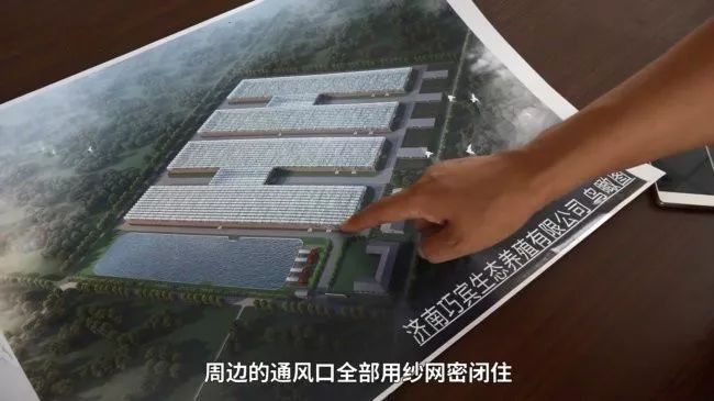 这个恐怖工厂：养10亿只蟑螂，每天喂50吨饭（饭前慎入！）