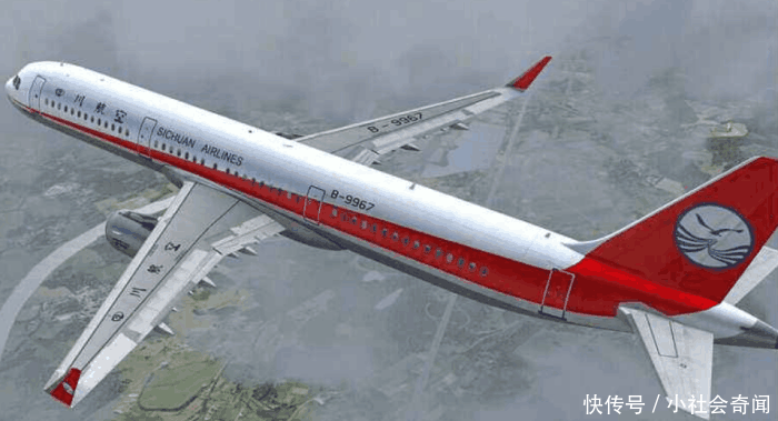 飞机上乘客突发疾病死亡, 家属索赔67万: 飞机