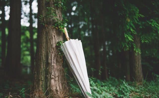 七首温柔诗词，淡看风云，享岁月静好！