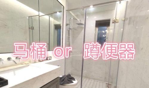  『干湿分离隔』老婆想用马桶我爱用蹲盆，最后马桶和蹲盆一起装，这效果怎么样？