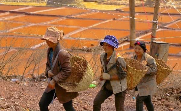 中国那些惊艳世界的田地，唯有西藏这个最为特别