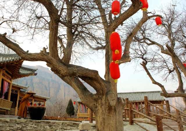  『自驾游』自驾游黄河石林，每一站都是风景……