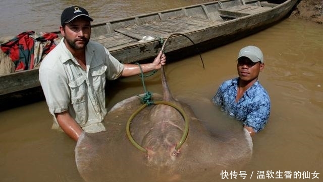 强烈要求李大毛老师停止游钓中国, 远征湄公河降服真正的巨物