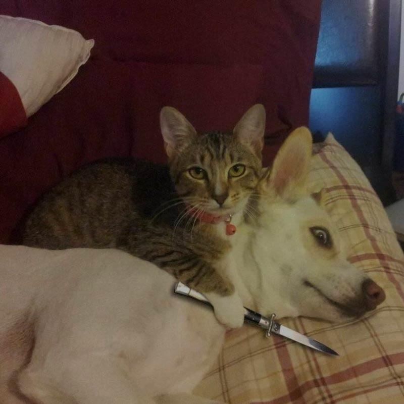 封面 黄晓明被控操纵18亿，纯属谣言，网友:baby没有看错人!