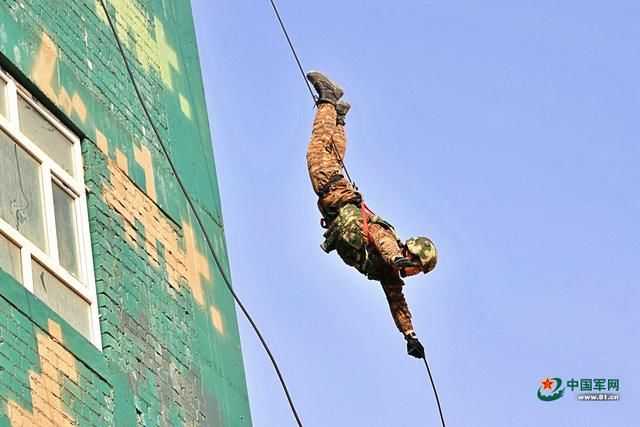  「张张」张张精彩！“飞檐走壁”的武警小哥哥太帅了