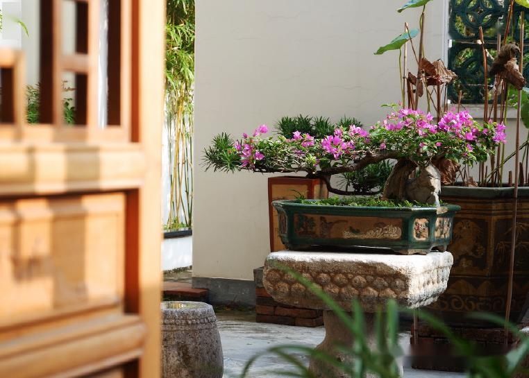 #中国#中国庭院,最是奢侈。