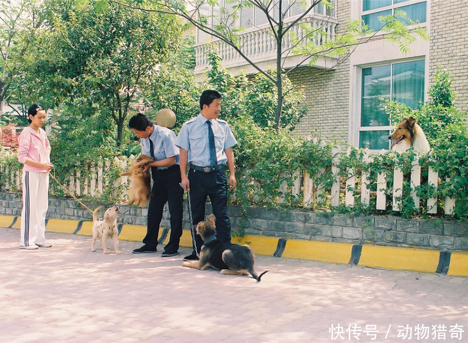  「农民」直击：他们在别墅里享受“隐密”的高质生活，琐事由周