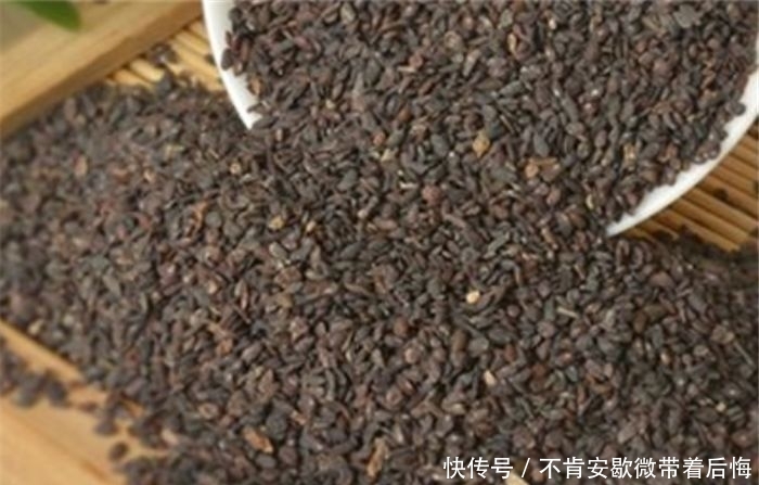 农村一种草，种子价值很高，晒干了卖20元一斤，是珍贵的中草药！