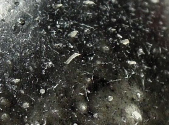 脸上螨虫无法无天？只要一个小偏方，螨虫连根拔起！