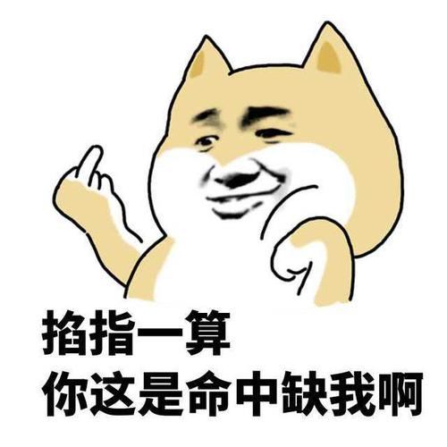  【幽默】幽默笑话：跟同学打赌让他追我们班长 结果我输掉了一星期生活费