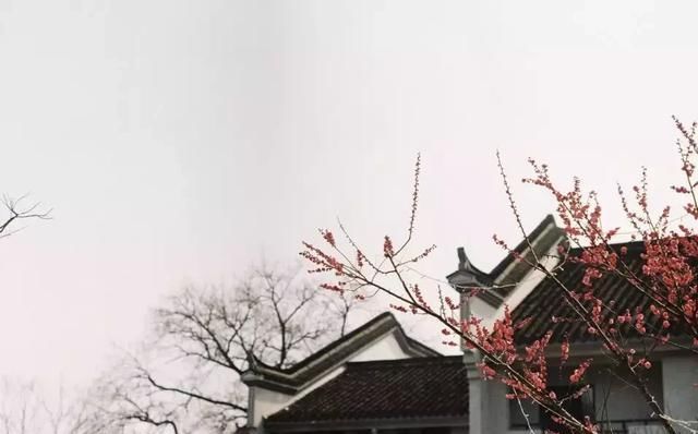 江南最美的10个秋色