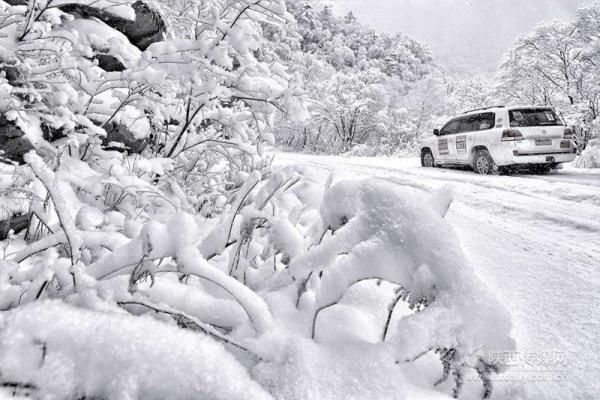 瑞雪兆丰年 秦岭雪后美景
