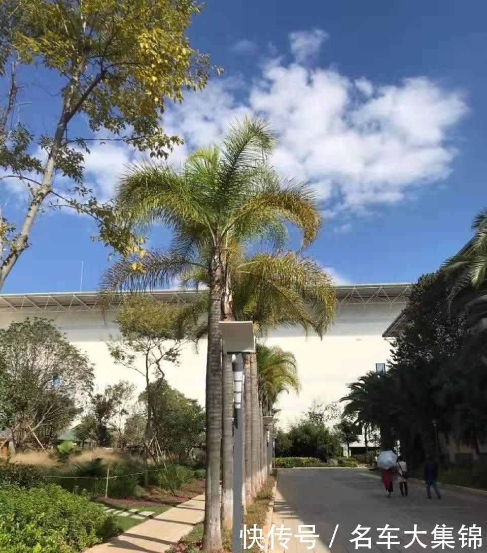 七彩云南,滇池风光,值得大家去看看