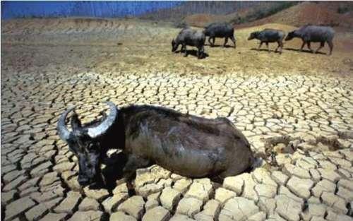 倘若将沙漠中的全部沙子挖掉，能看到什么东西呢看完长见识了