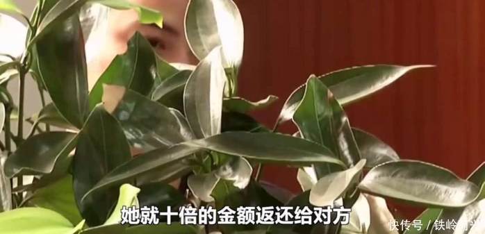 俩19岁男生被骗千元不甘心, 炮制类似骗局3个月骗得120万