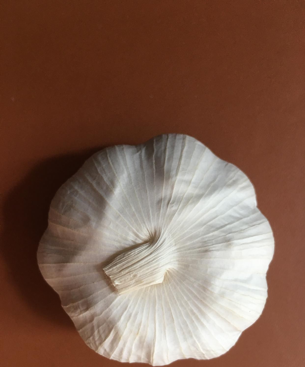  [竟然]加点盐就能解决，很多人竟然花了那么多冤枉钱，现在知道还不晚！